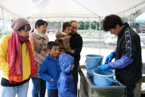 調理する石田さんの息子さん、小学1年生から魚をさばく手伝いをされていたそうです。見事な魚さばきにほれぼれ