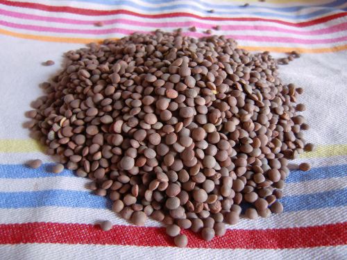 レンズ豆は種類により１キロ240〜450円 で購入可能