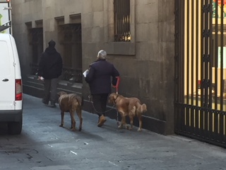 バルセロナ市内のゴチック地区の街路
