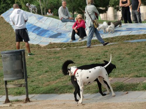 バルセロナ市エスタシオ・デル・ノール公園の日曜の様子