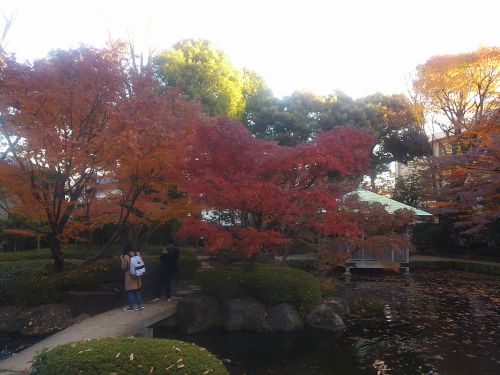 奥へ進むと広いお庭、橋が架かった池があります