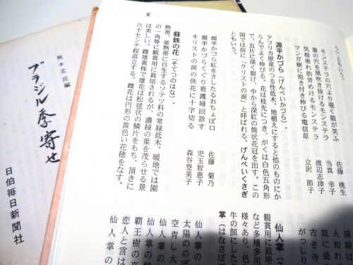 『ブラジル歳時記』（佐藤牛童子編）の「源平かづら」のページ