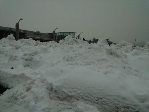 駐車場の一部がまたまたこんな状態に！