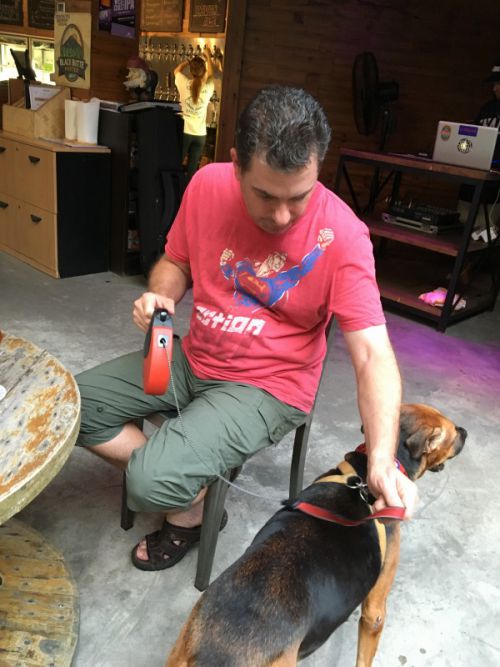 犬連れオーケー 他のわんこたちと仲良くしてね