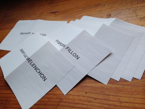 郵便で家に届いた葉書きサイズの投票用紙。一枚に一候補者の氏名