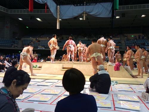 土俵が近いです!