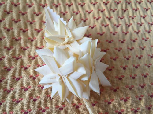 教徒ではありませんが、この時期は小さなパルマを購入し季節感を楽しみます