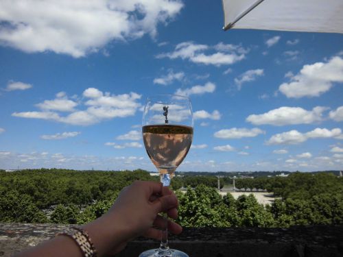 暑い中飲むロゼワインは最高です