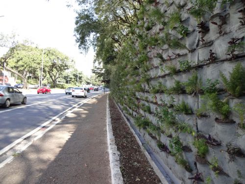 サンパウロ市内メイン通りの一つの壁に植えられた植物