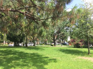 ここは公園ではなく、この住宅地の中の緑地帯。ゆとりを感じます