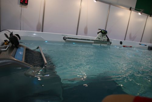 エンドレスプールの展示も