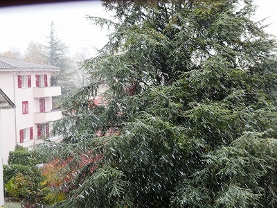 まだ10月で落ち葉が木々の間で降っている中、雪も降り続けました