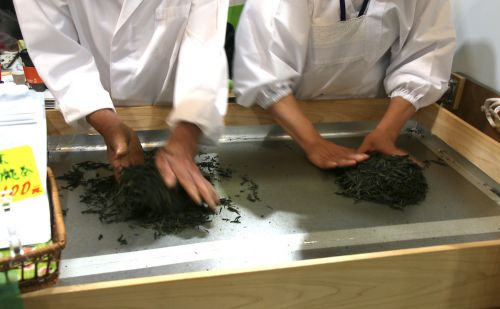 静岡県茶手揉保存会の実演販売