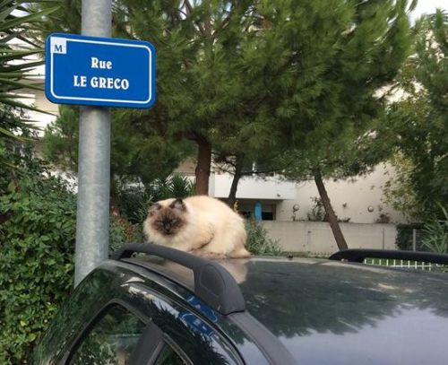 悠々自適な毎日?
