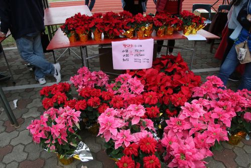 PTAのブースより