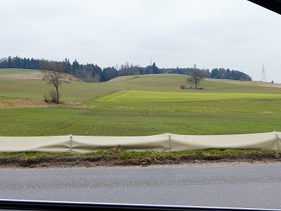 草地や溝からカエルが道路に飛び出さないよう、防止用フェンスも