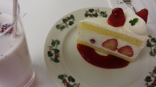 日本のケーキ専門店が恋しくなります