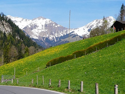 スイスにも春がやってきたようです♪