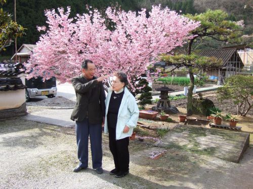 今は亡きおじいちゃんと桜