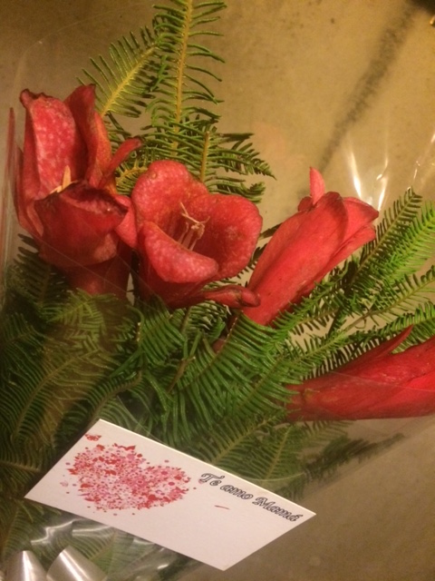 チリの国花コピウエやバラなどが母の日になると路上で売られています