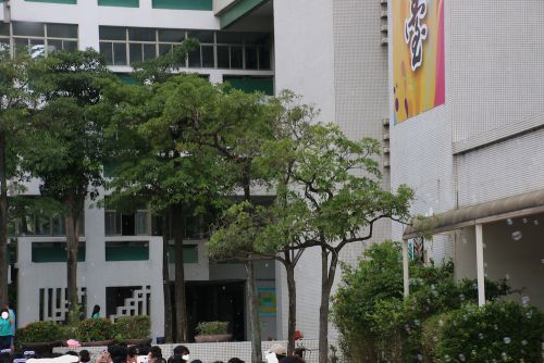 シャボン玉の演出も