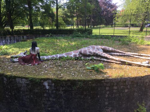 美術館のリアルなアートオブジェ