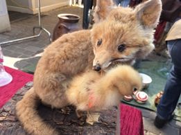 こんな和むオブジェもありました