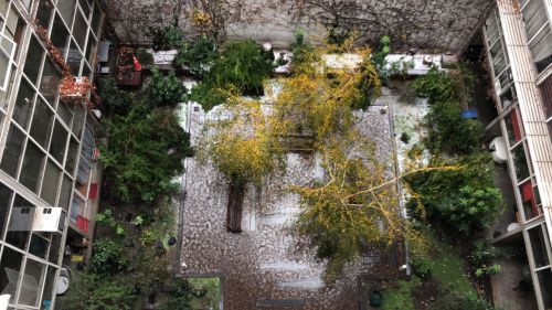 私たちが住むマンションの庭に積もった雪。子どもたちは大喜び！