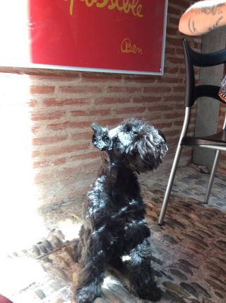 また遊びに来るね！パコ！