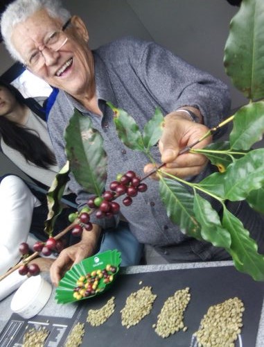 コーヒーの実の付いた枝と大きさを選別したコーヒーの生豆