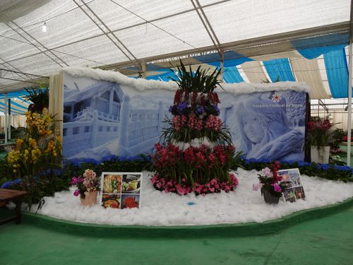 ｢日本の観光名所｣がテーマのアルジャー花祭りの北海道コーナー
