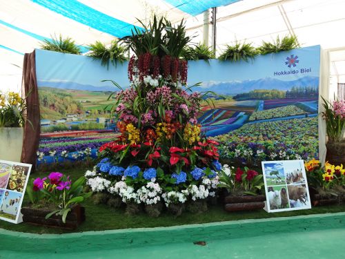 「日本の観光名所」がテーマのアルジャー花祭りの北海道コーナー