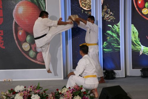 上段飛び前蹴りによる板割り