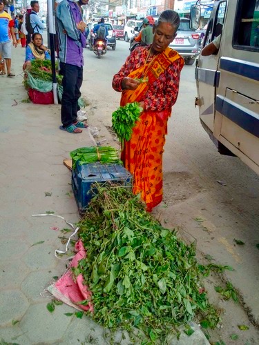 本日のおすすめ！　「リシパンチャミ」には歯を磨こう！　
