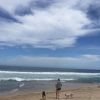 オーストラリアのビーチと犬事情