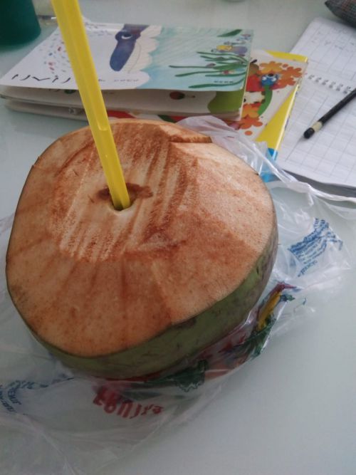 これまで広く使用されてきたプラスチックストロー。ココの実に二本のストローがさし込まれている