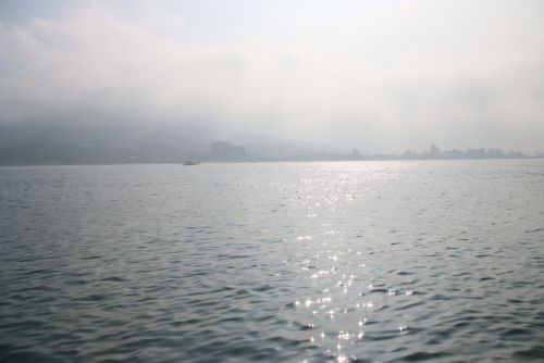 淡水河の河辺の眺め