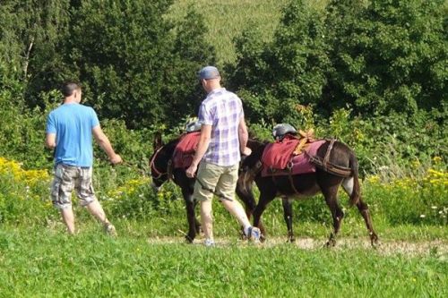 ロバと一緒に歩きながら、自然を満喫。（画像提供：ARWB)