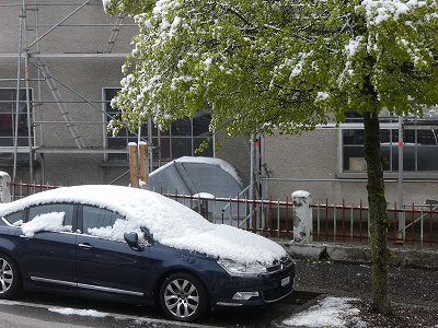 道路に雪が積もっている間、動かせなかった車も多くありました。（2019年5月5日撮影）