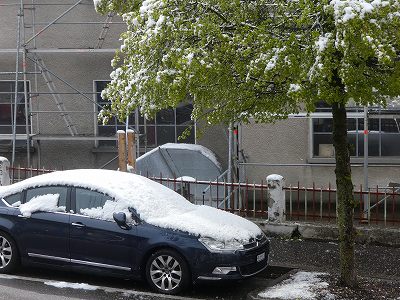 道路に雪が積もっている間、動かせなかった車も多くありました。(2019年5月5日撮影)