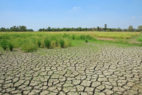 普段ならば水をたたえた湿地帯もこの通り。（画像提供：NC.NL）