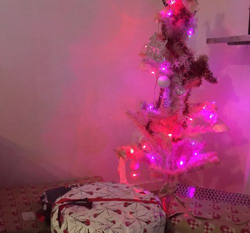 クリスマスツリーを片付けるのは1月6日過ぎてから。