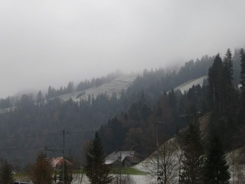 最後に太陽を見たのはいつ？毎日霧と曇りでどんより。