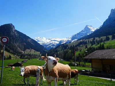 スイスには、ウシのつけているカウベルやヨーデルなど、伝統的な「音」が色々ありますが…