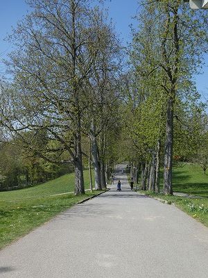 広い自然公園内は、「密集・密閉・密接」の「3密」を避けやすいので散歩に最適