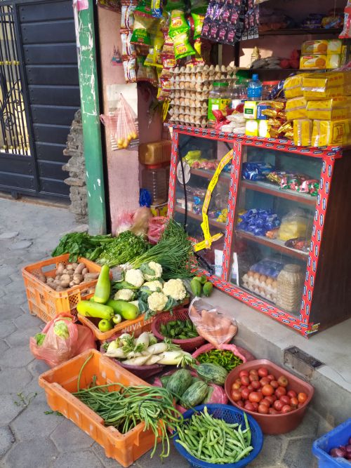野菜、卵、パン、お菓子など最低限のものは 入手可能