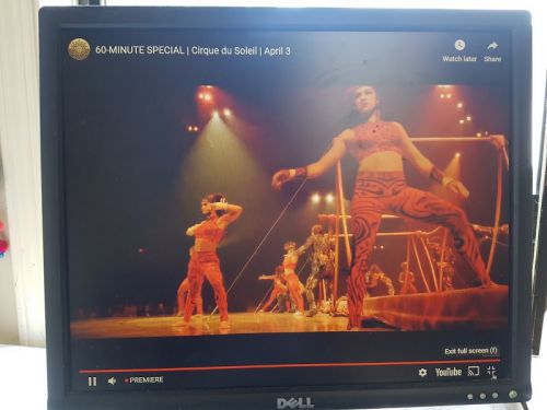 おうちでシルクドゥソレイユ