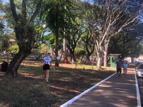 自宅前の公園を小走りで5〜10周し、運動不足を補っている