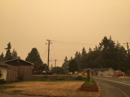 山火事の煙による影響で、黄色く濁ったように見えるシアトルの空