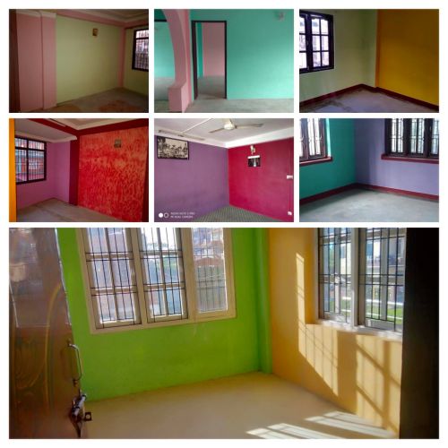 お部屋の壁は全室色とりどり@@